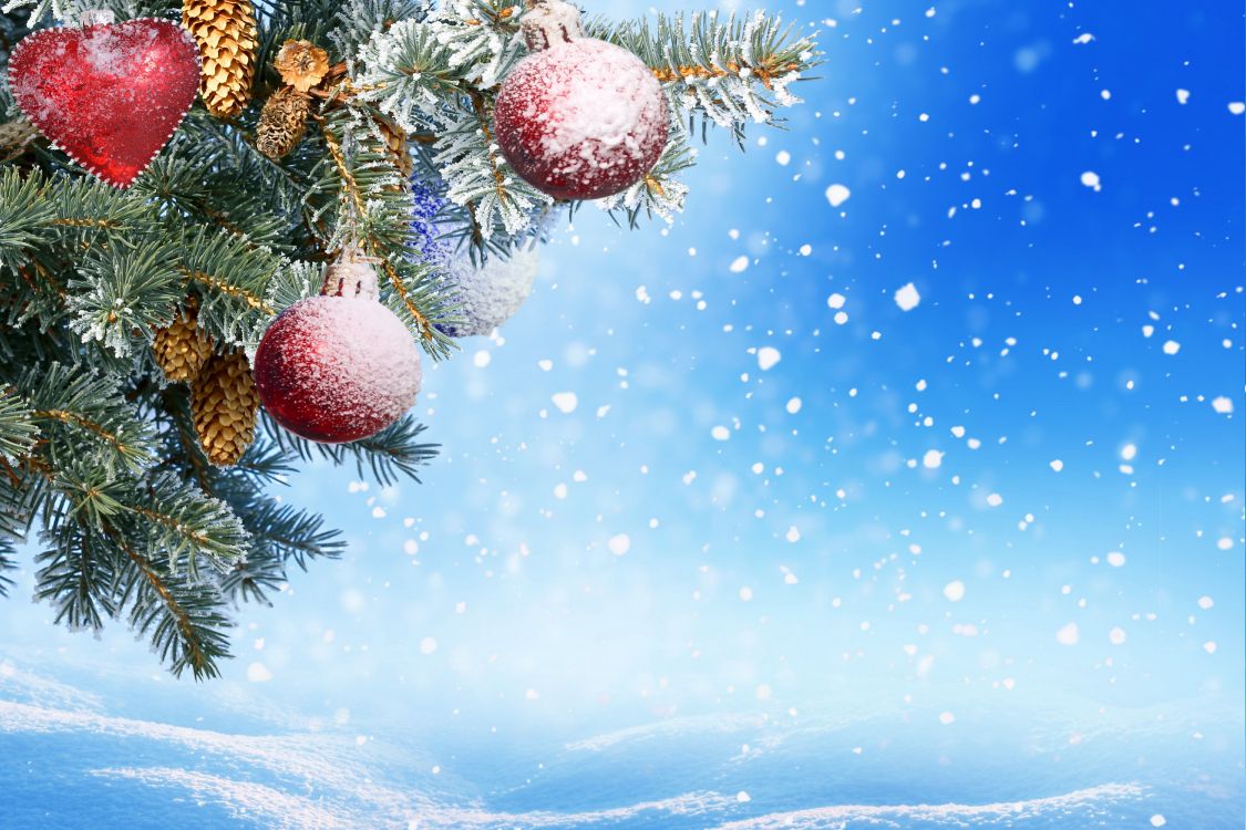 Neujahr, Weihnachten, Christmas Ornament, Baum, Fir. Wallpaper in 6000x4000 Resolution