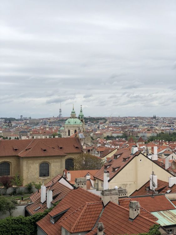 Praha, Gewässer, Natur, Vegetation, Architektur. Wallpaper in 1536x2048 Resolution