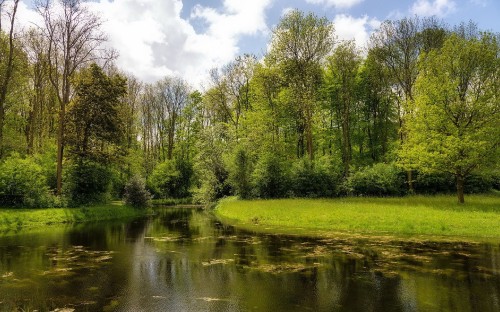 Image green grass field and trees beside river under white clouds and blue sky during daytime