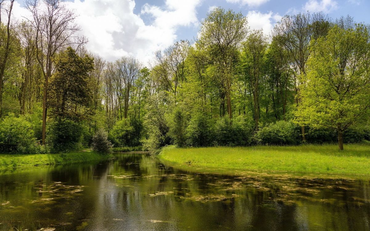 green grass field and trees beside river under white clouds and blue sky during daytime