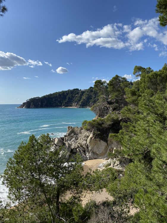 coast, vegetation, cloud, natural landscape, ocean