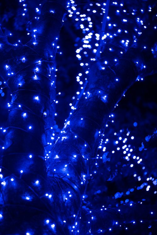 Azul, Agua, Luz, Azul Cobalto, Luces de Navidad. Wallpaper in 4160x6240 Resolution
