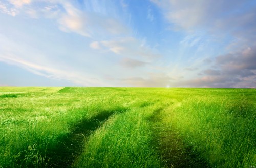 Image green grass field under blue sky during daytime