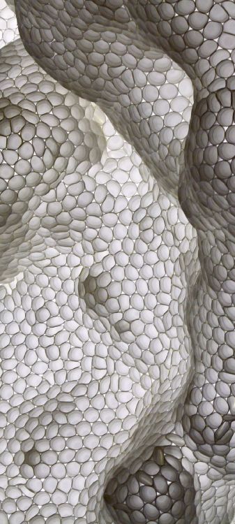 歌词, 关闭了, 圆圈, 对称, 艺术 壁纸 1080x2400 允许