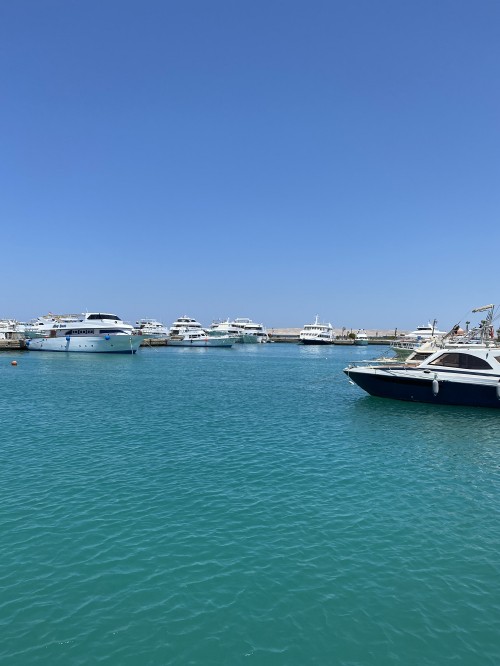 Image marina, watercraft, boat, speedboat, naval architecture