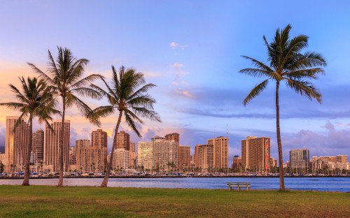 Image green palm trees near city buildings during daytime