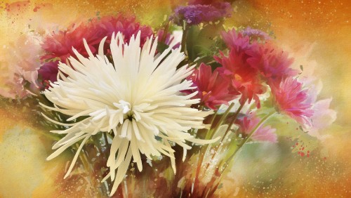 Image white and pink flower in water