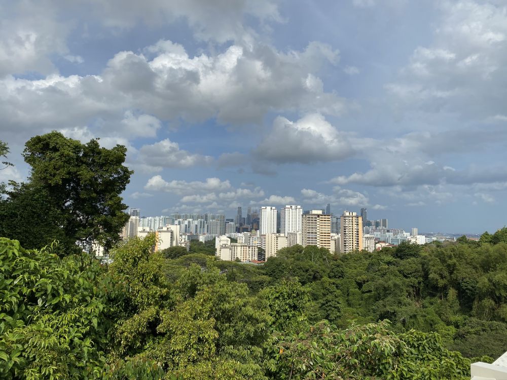 Vegetation, Tageszeit, Eigenschaft, Cloud, Nachbarschaft. Wallpaper in 2048x1536 Resolution