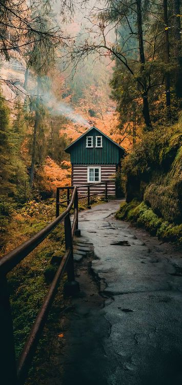 Baum, Tick Tack, Ios, Malerei, Papier. Wallpaper in 1422x3000 Resolution