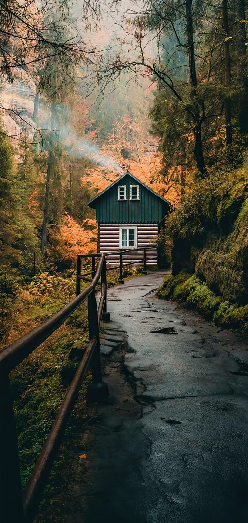 fondos de pantalla de naturaleza para descarga gratuita móvil