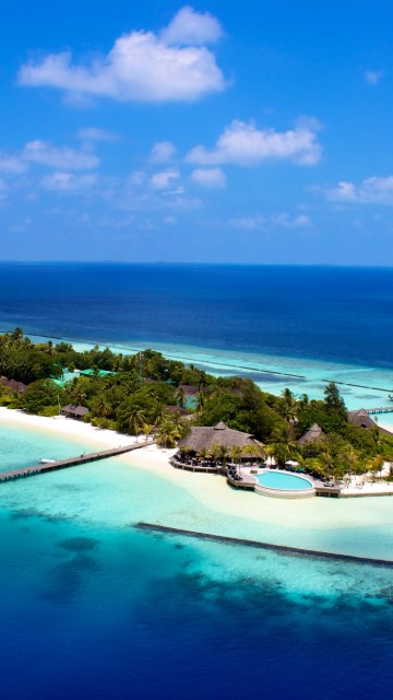 Image aerial view of green trees and blue sea during daytime