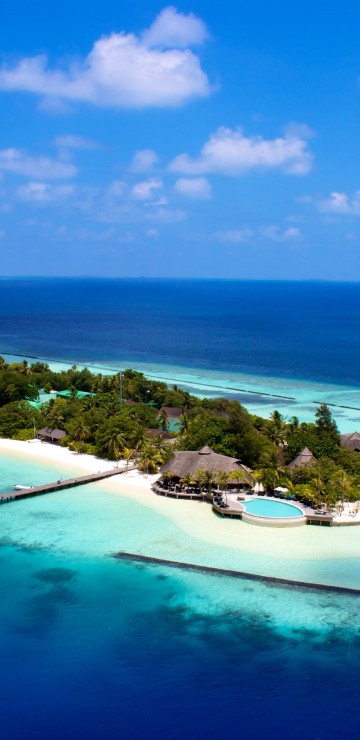 Image aerial view of green trees and blue sea during daytime