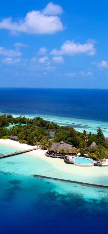 Image aerial view of green trees and blue sea during daytime