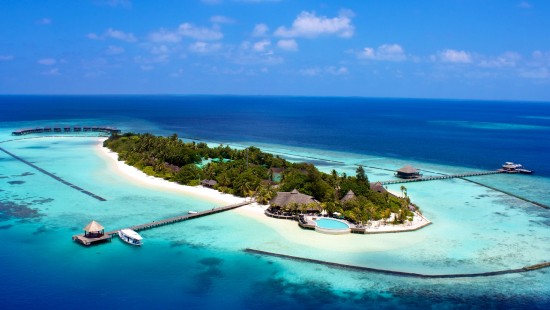 Image aerial view of green trees and blue sea during daytime
