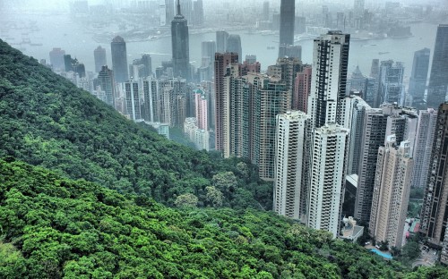 Image green trees and city buildings during daytime