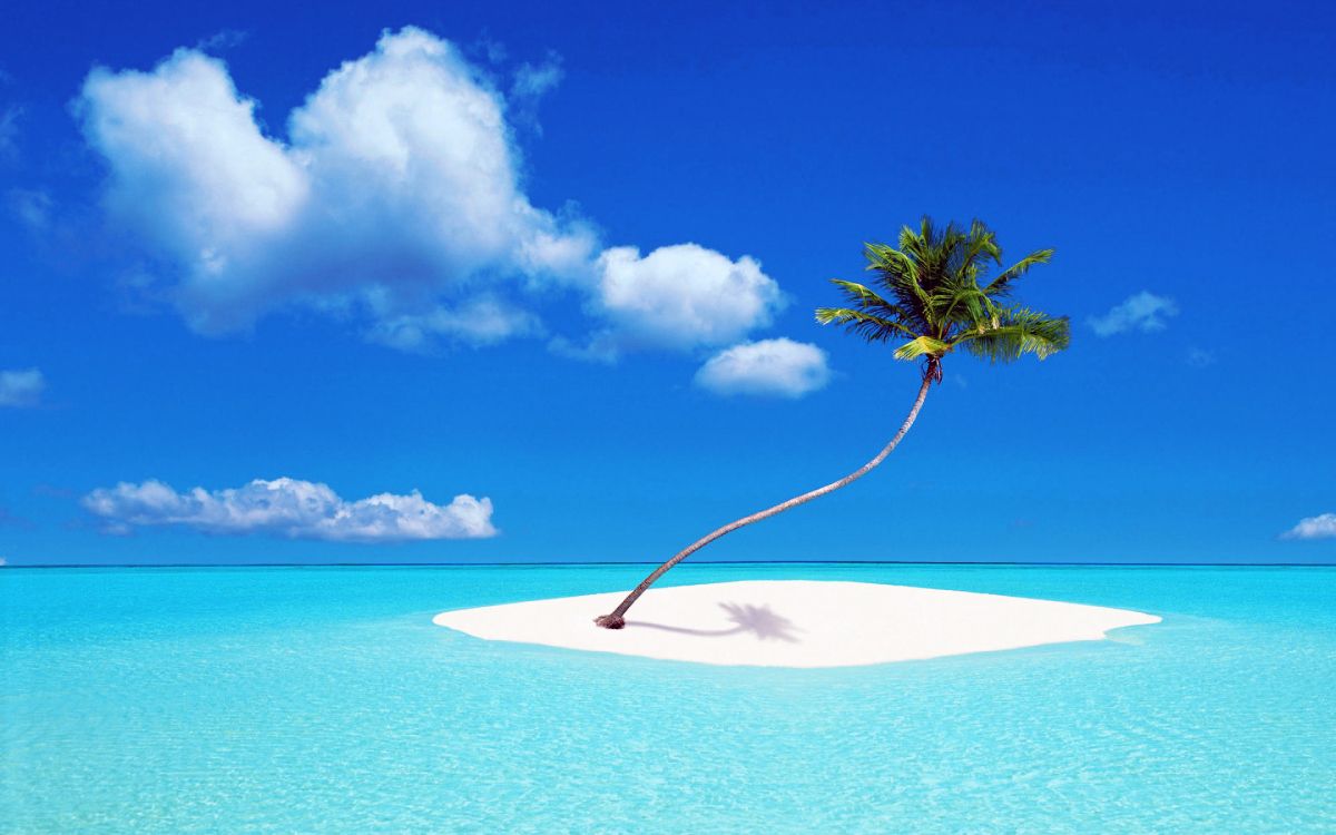 Palmier Sur la Plage de Sable Blanc Pendant la Journée. Wallpaper in 2880x1800 Resolution