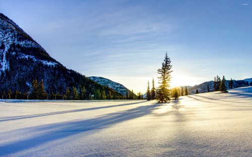 Image snow covered road near trees and mountains during daytime