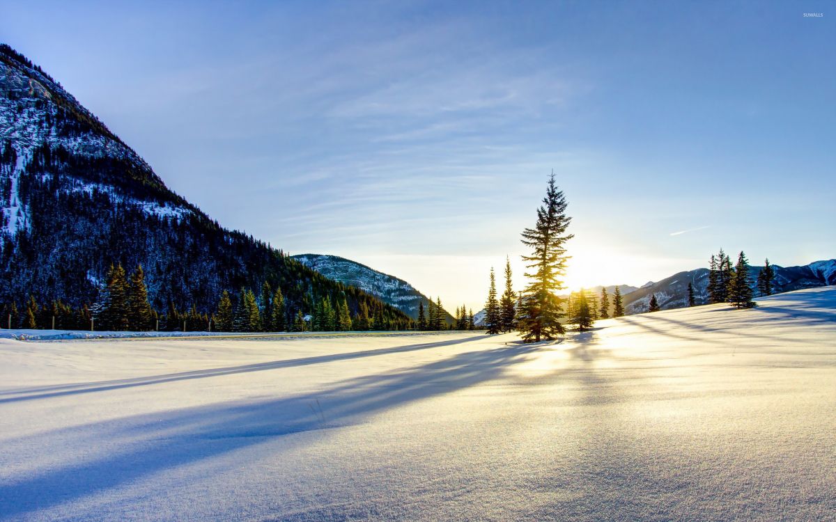 snow covered road near trees and mountains during daytime