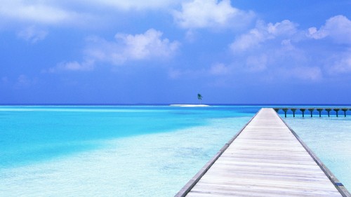 Image brown wooden dock on blue sea under blue sky during daytime