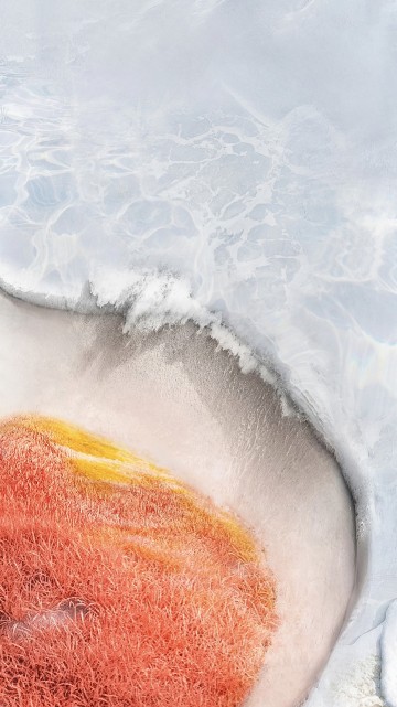 Image Alive, vivo x70, vivo x fold, vivo x note, smartphone