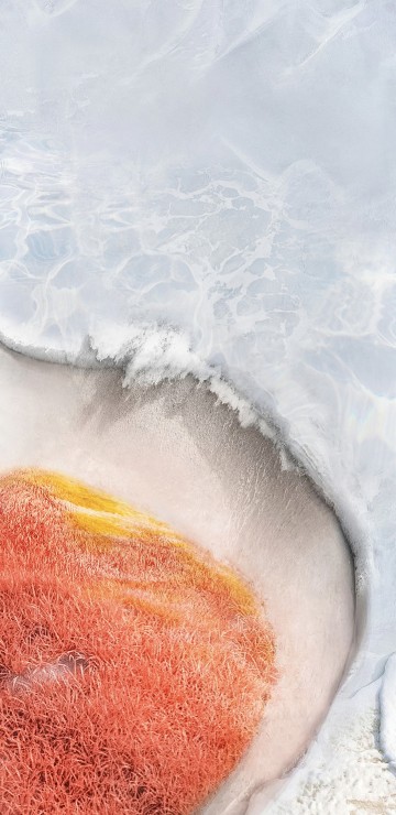 Image Alive, vivo x70, vivo x fold, vivo x note, smartphone