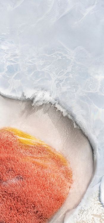 Alive, vivo x70, vivo x fold, vivo x note, smartphone