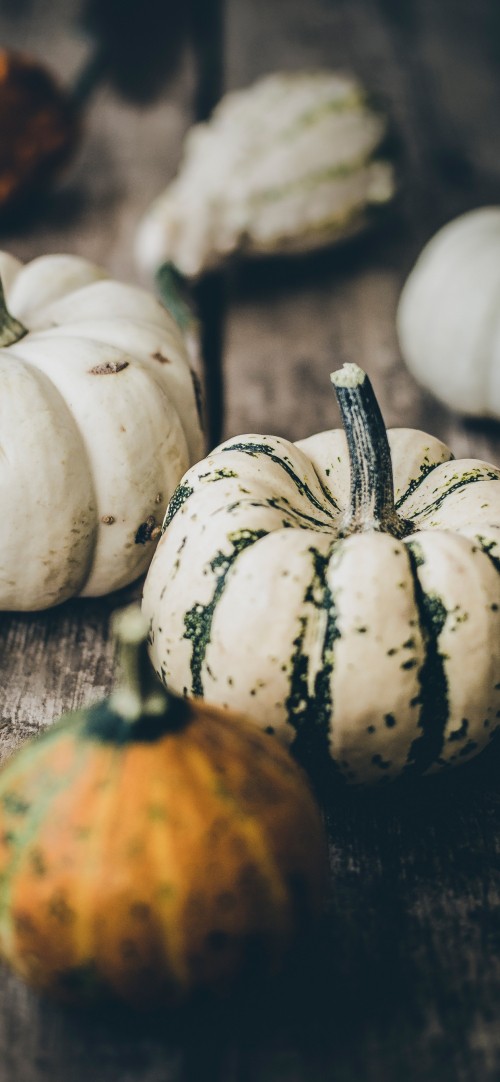 Image Pumpkin, autumn, food, winter squash, natural foods