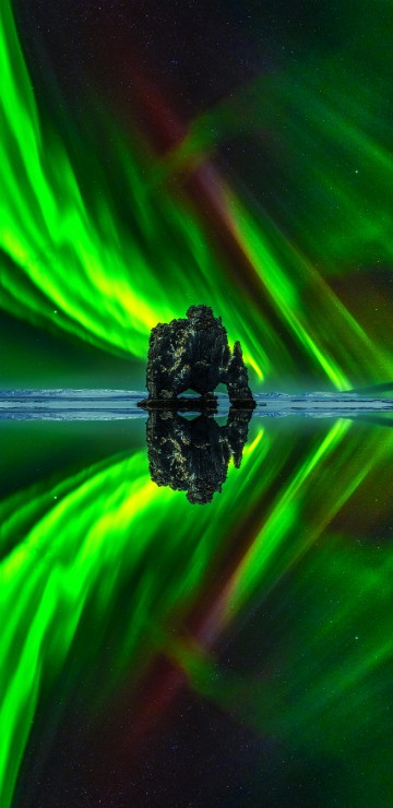 Image grass, graphic design, plant, water, liquid