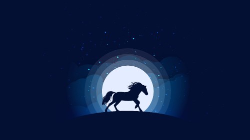 Image silhouette of man riding horse under blue sky during night time