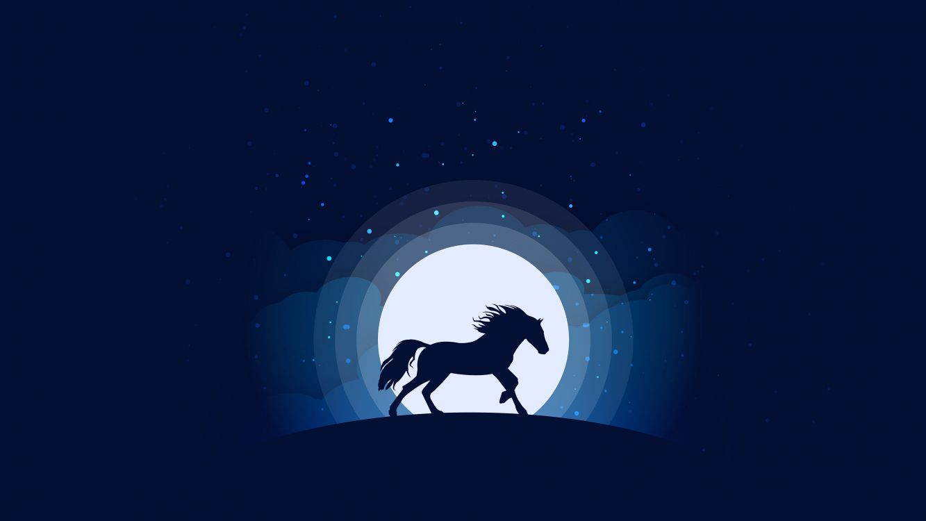 silhouette of man riding horse under blue sky during night time