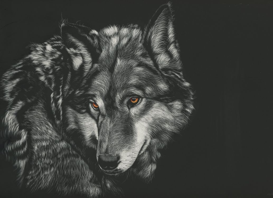 black and white wolf illustration