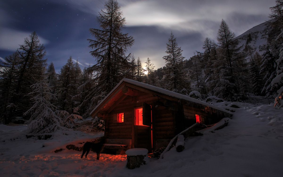 Casa de Madera Marrón Cerca de Los Árboles Durante la Noche. Wallpaper in 2880x1800 Resolution