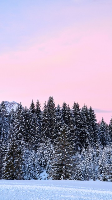 Image snow, forest, germany, winter, colored