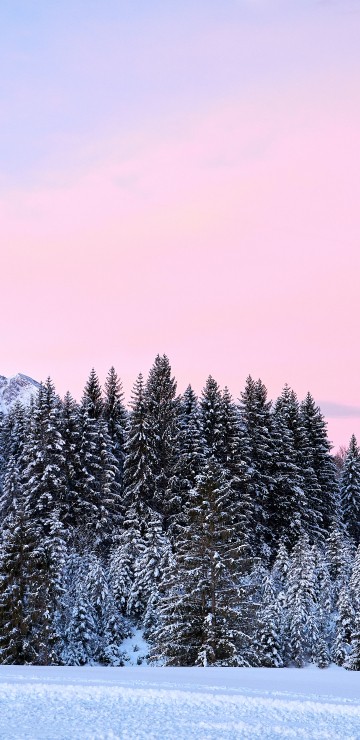 Image snow, forest, germany, winter, colored