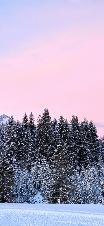 Image snow, forest, germany, winter, colored