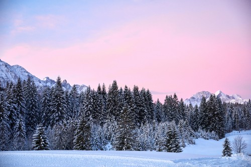 Image snow, forest, germany, winter, colored