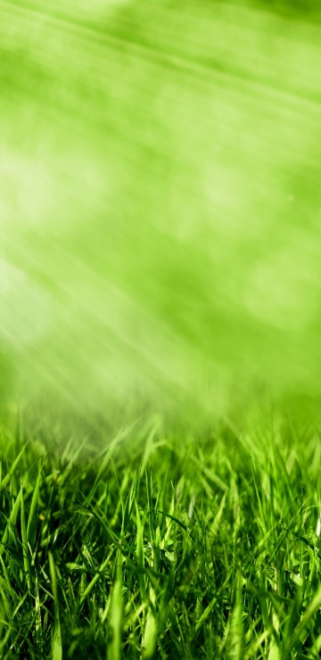 Image water droplets on green grass during daytime