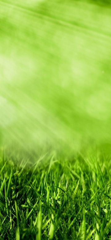 Image water droplets on green grass during daytime