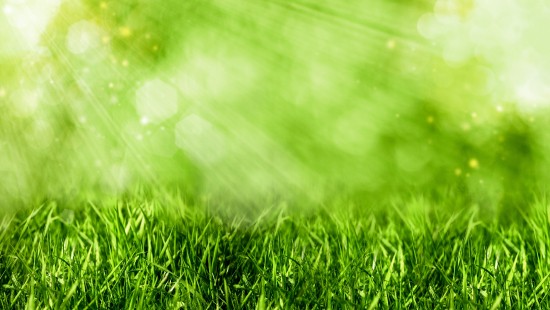 Image water droplets on green grass during daytime
