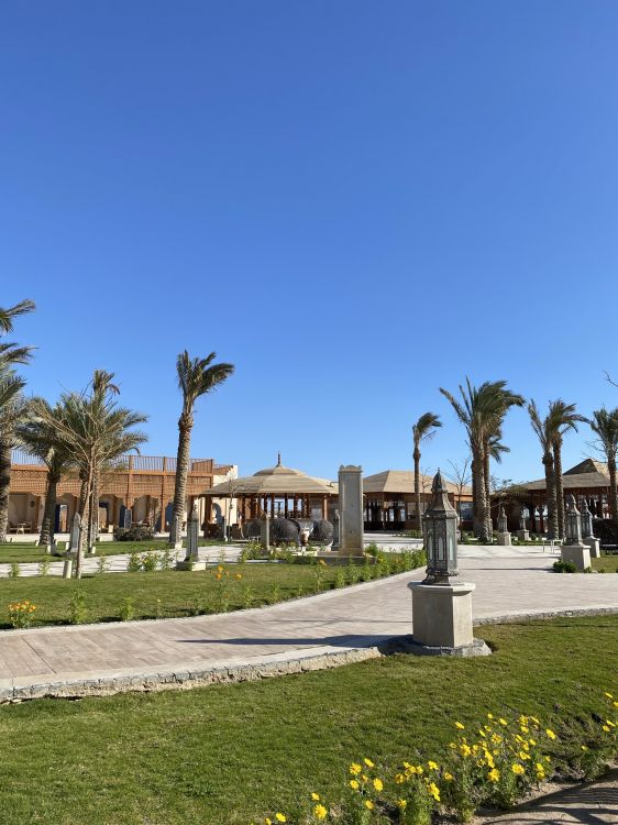 Palme, Gebäude, Azure, Baum, Haus. Wallpaper in 1536x2048 Resolution