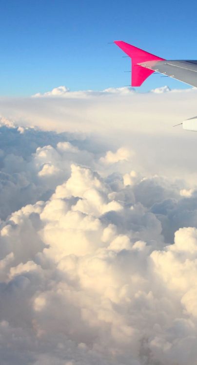 航班 空中旅行 积云 翼 粉红色高清壁纸 航空图片 桌面背景和图片