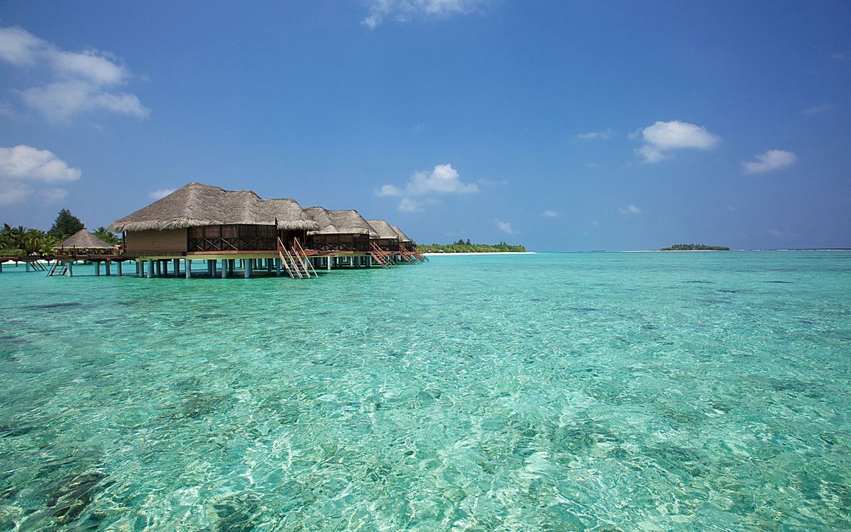 Casa de Madera Marrón en el Cuerpo de Agua Durante el Día. Wallpaper in 2560x1600 Resolution