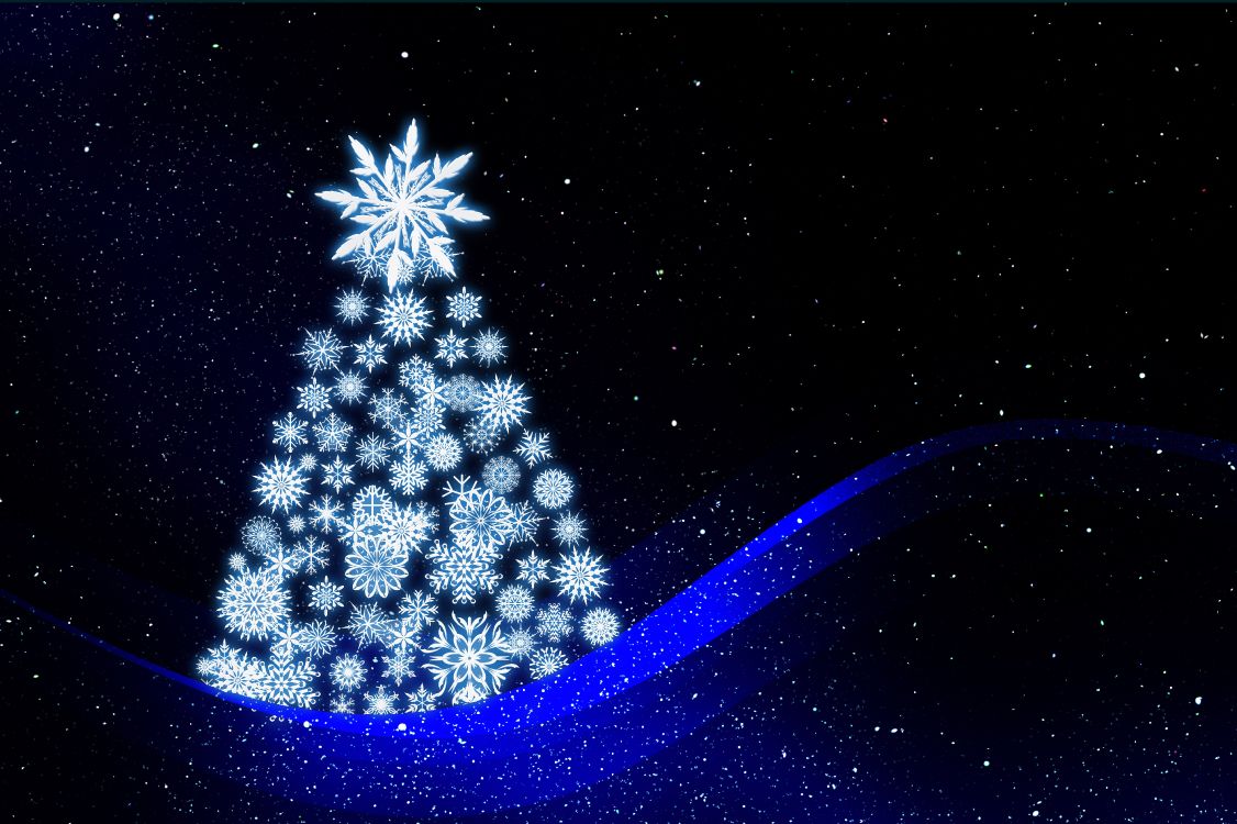 christmas tree, Christmas Day, christmas lights, blue, light