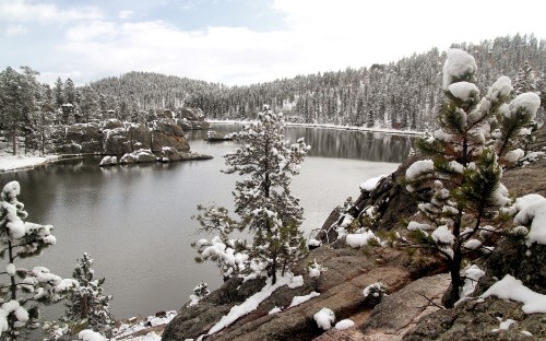 Image snow covered trees near lake during daytime