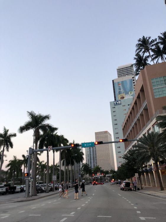 Roi, Route, Infrastructure, Surface de la Route, Rue. Wallpaper in 1536x2048 Resolution