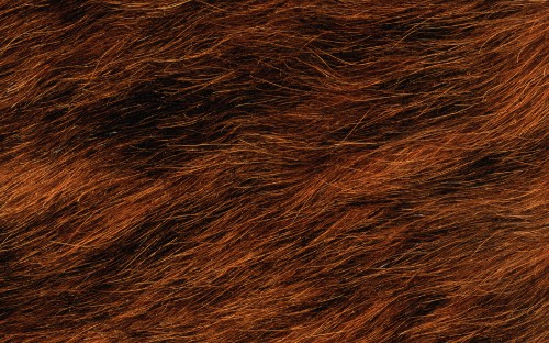 Image brown and black fur textile