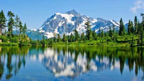 Image green trees near lake and snow covered mountain during daytime