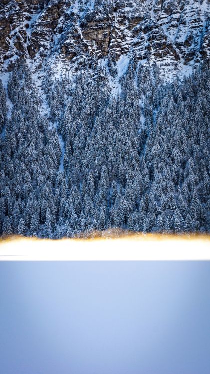 冻结, 免费提供的, Azure, 矩形, 电蓝色的 壁纸 2250x4000 允许