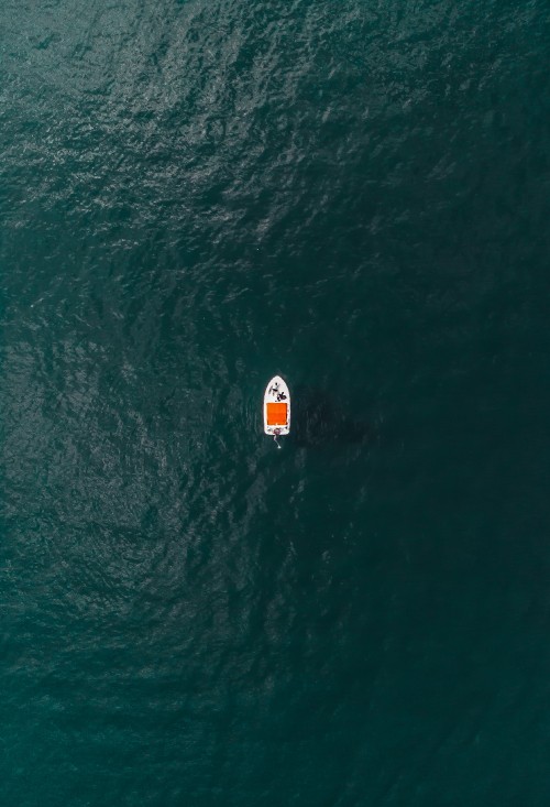 Image white boat on body of water during daytime