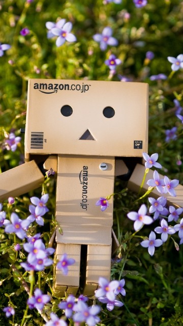 Image brown cardboard box on purple flowers